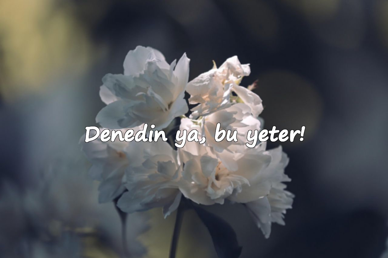 Denedin ya, bu yeter!