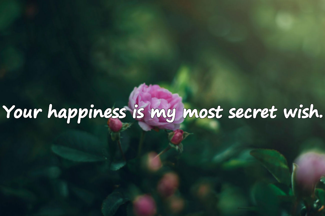 Platonic Love Quotes