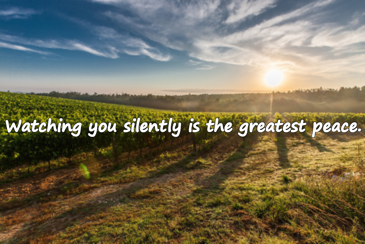 Platonic Love Quotes