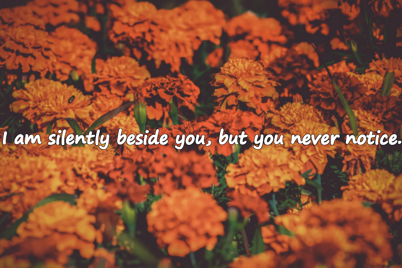 Platonic Love Quotes