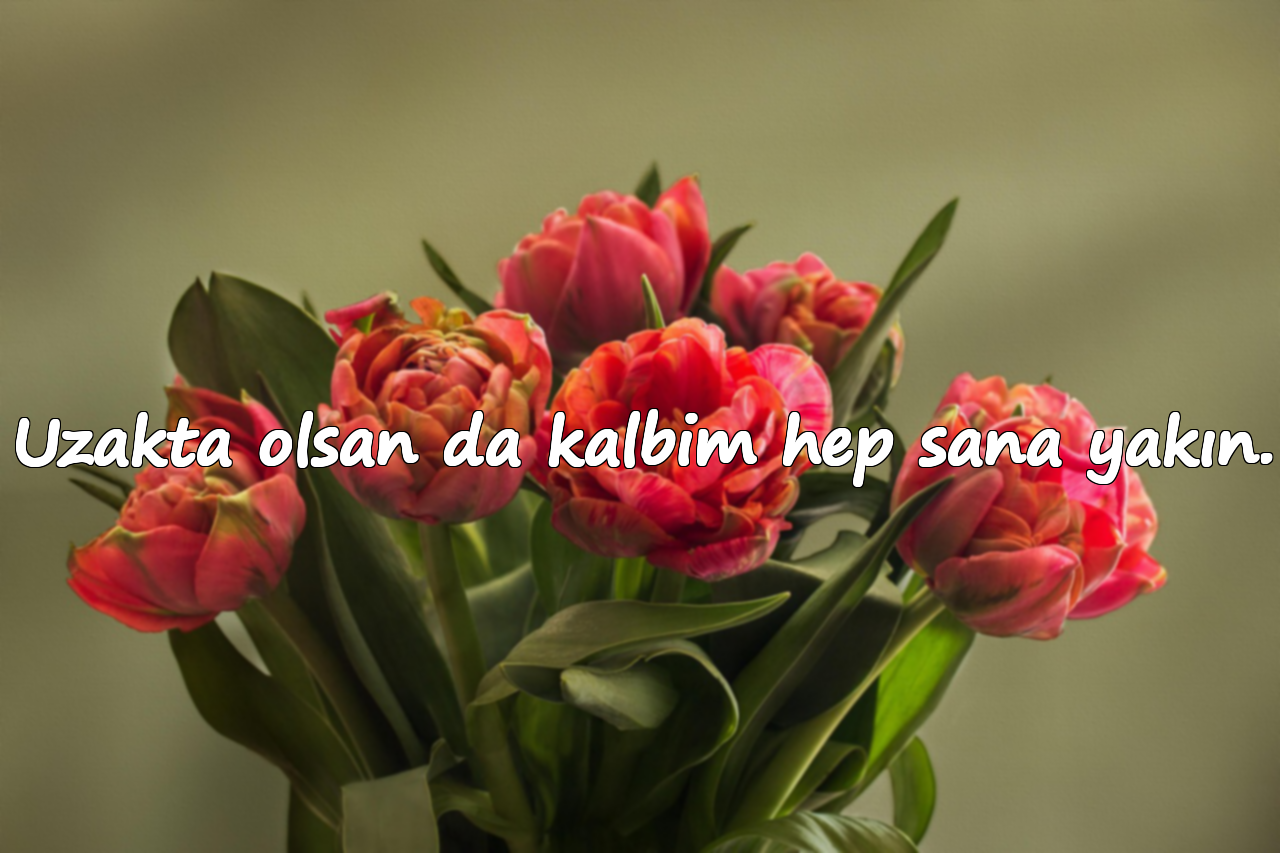 Uzakta olsan da kalbim hep sana yakın.