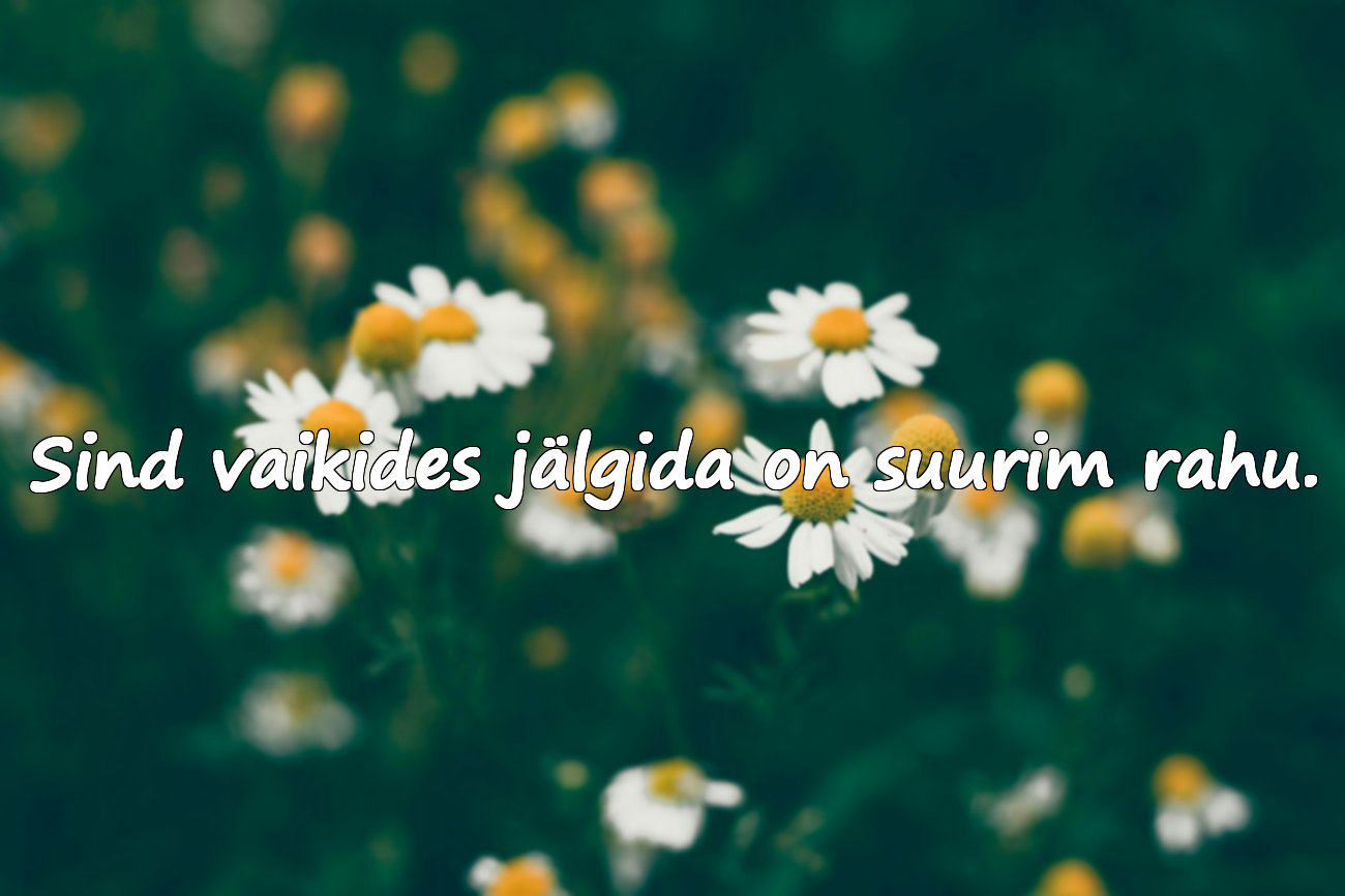 Platonilise armastuse tsitaadid