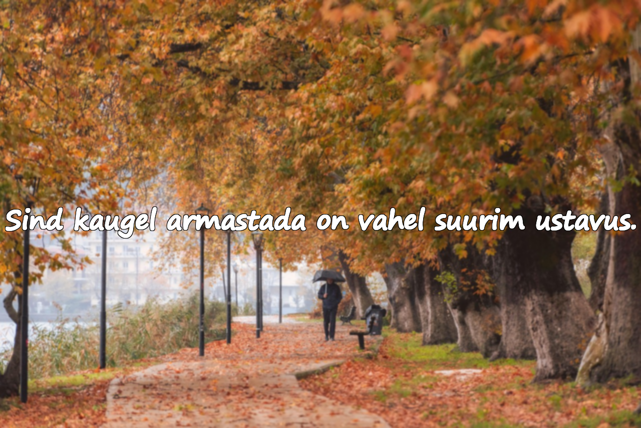 Platonilise armastuse tsitaadid