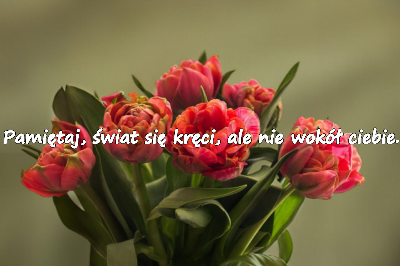 Pośrednie cytaty o przemijającym świecie