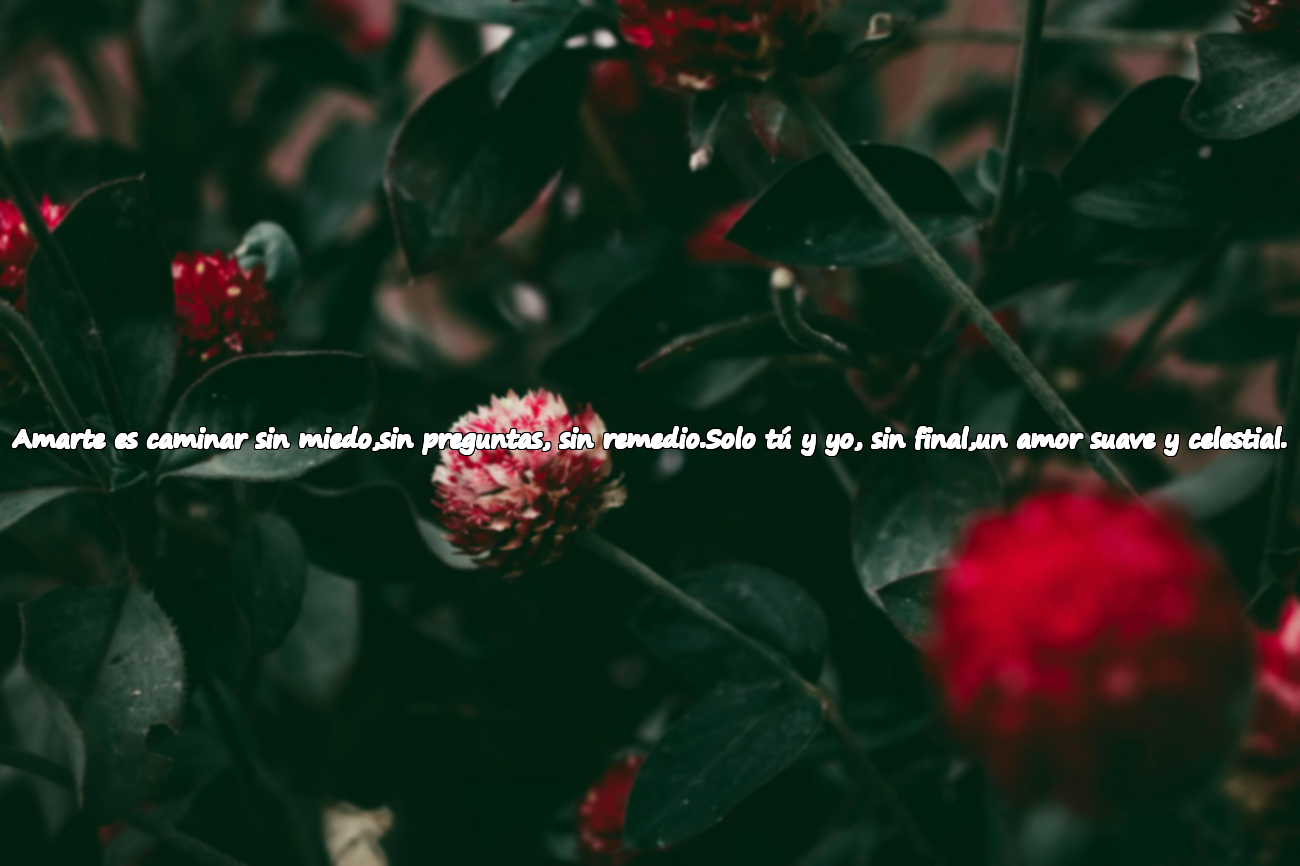 Amarte es caminar sin miedo,sin preguntas, sin remedio.Solo tú y yo, sin final,un amor suave y celestial.