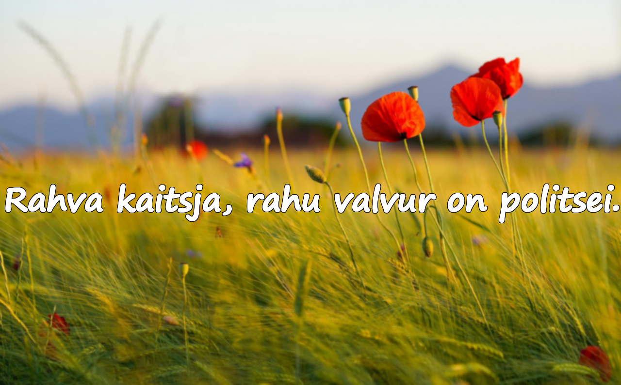 Politseiga seotud tsitaadid