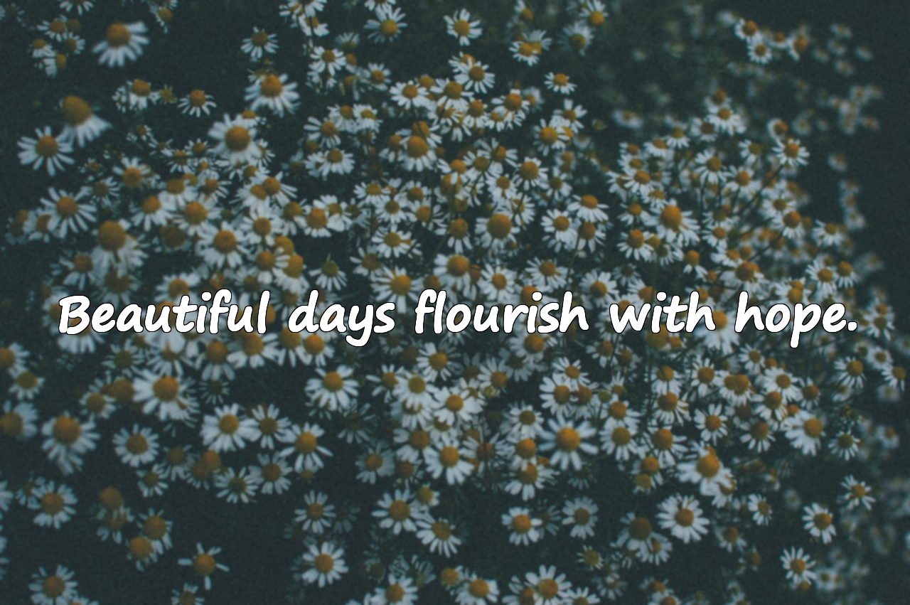 Quotes About Beautiful Days