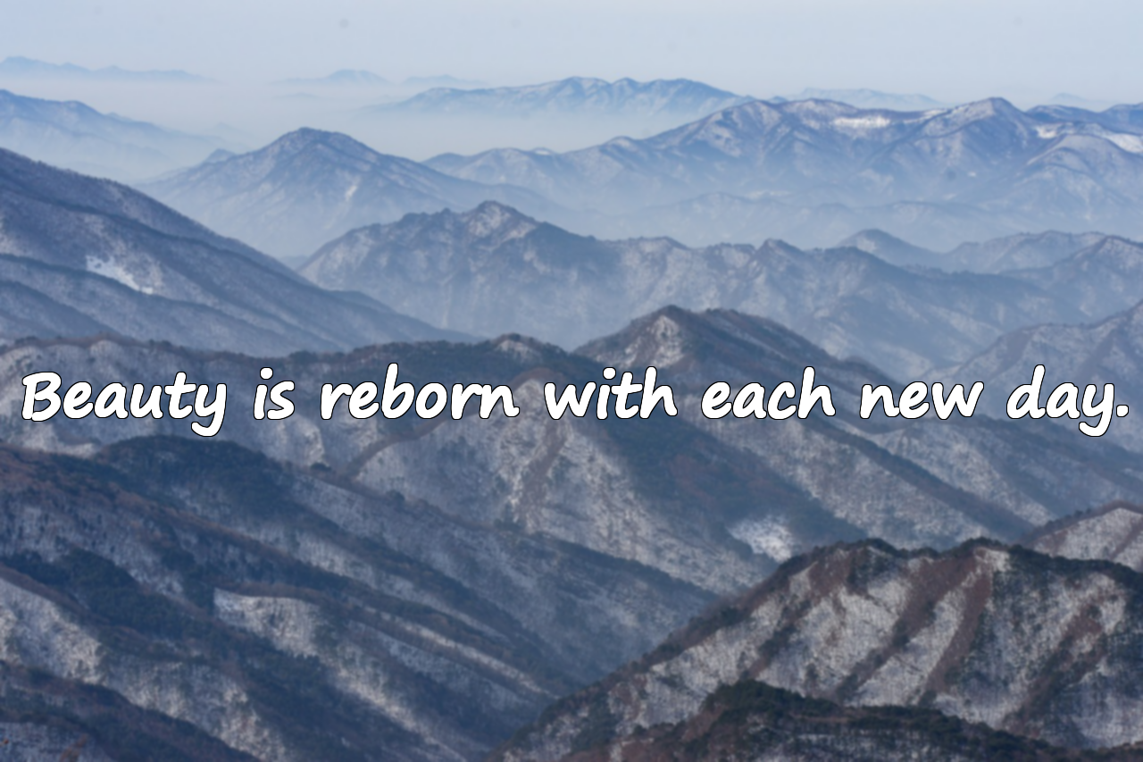 Quotes About Beauty