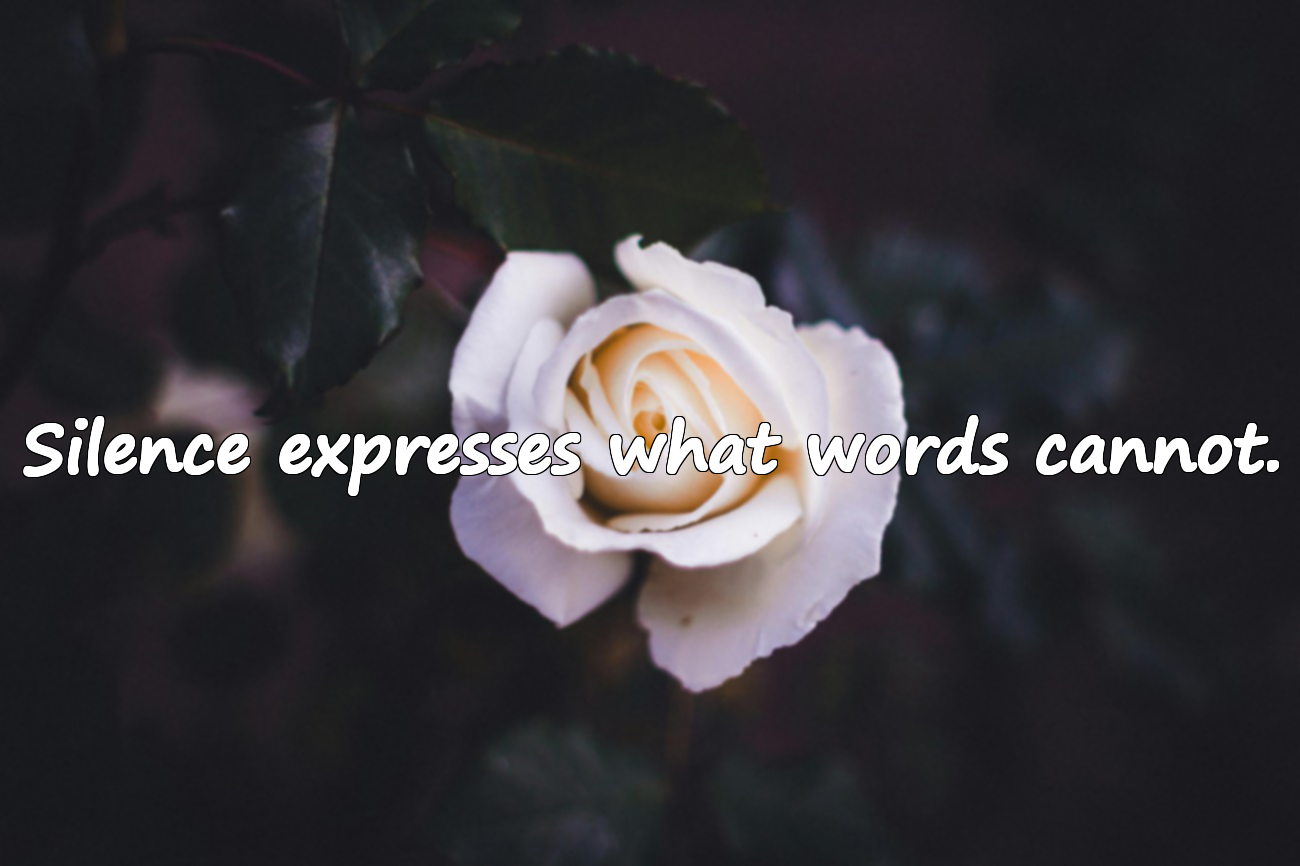 Quotes About Being Silent