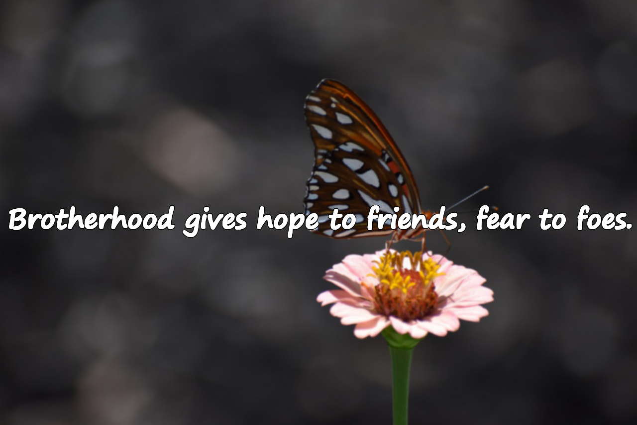 Quotes About Brotherhood