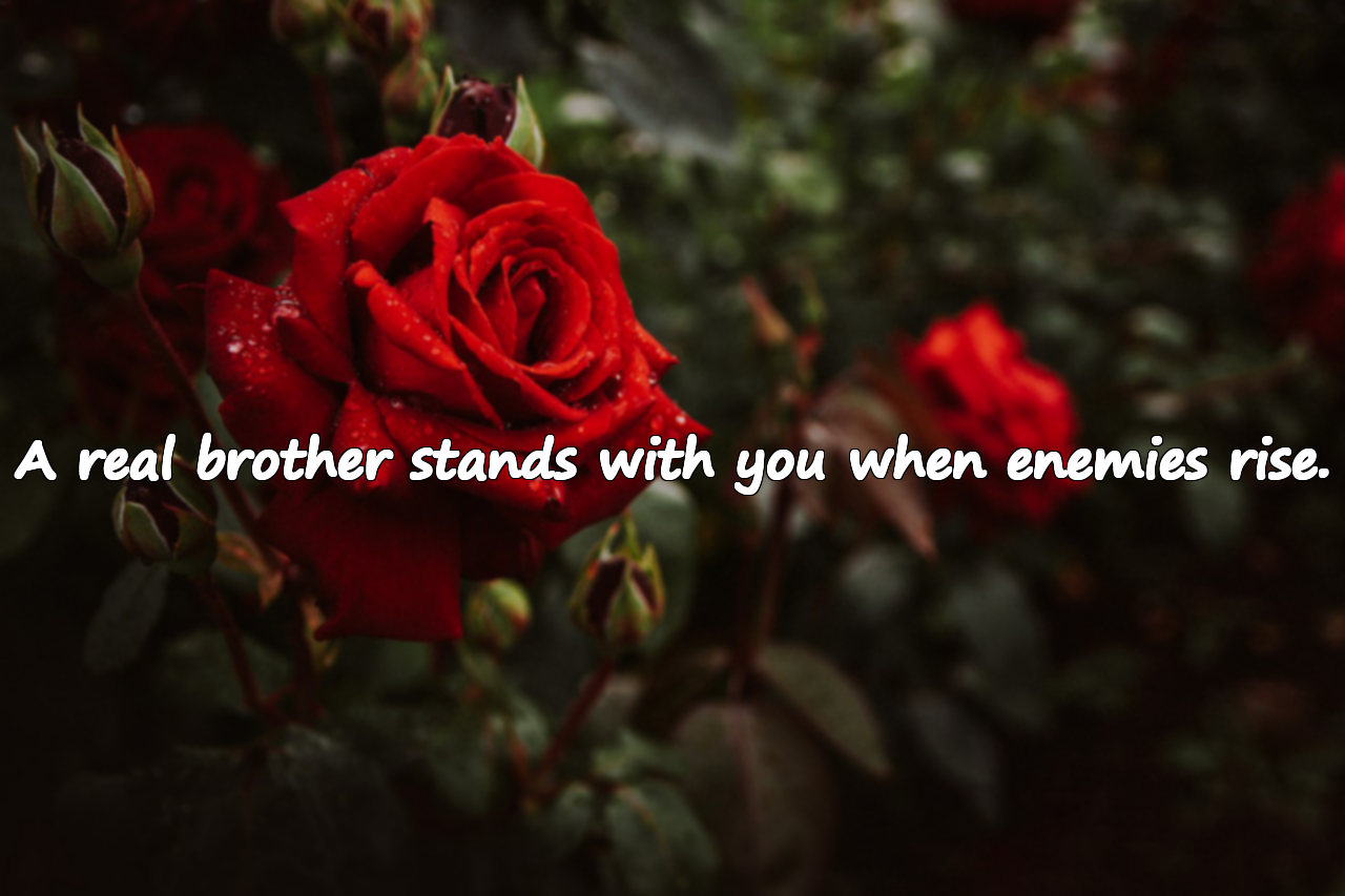 Quotes About Brotherhood