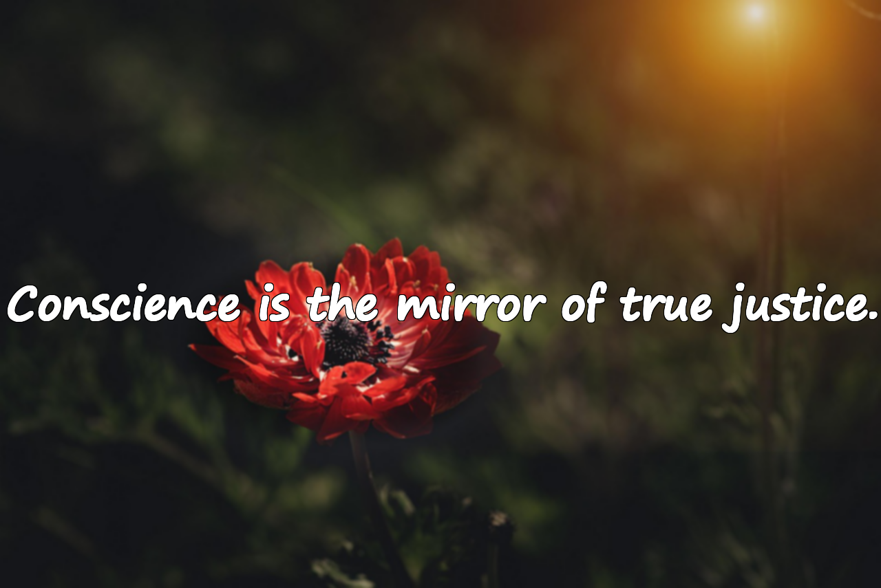 Quotes About Conscience