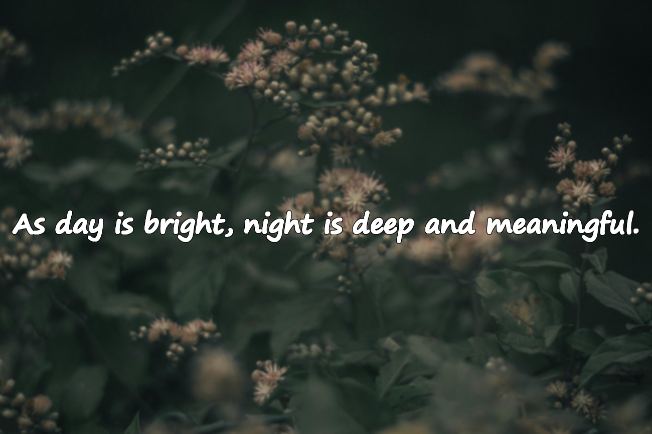 Quotes About Darkness