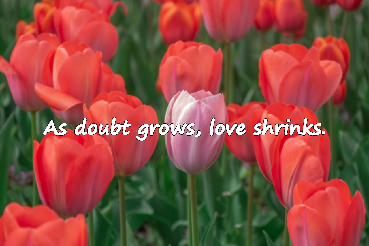 Quotes About Distrust