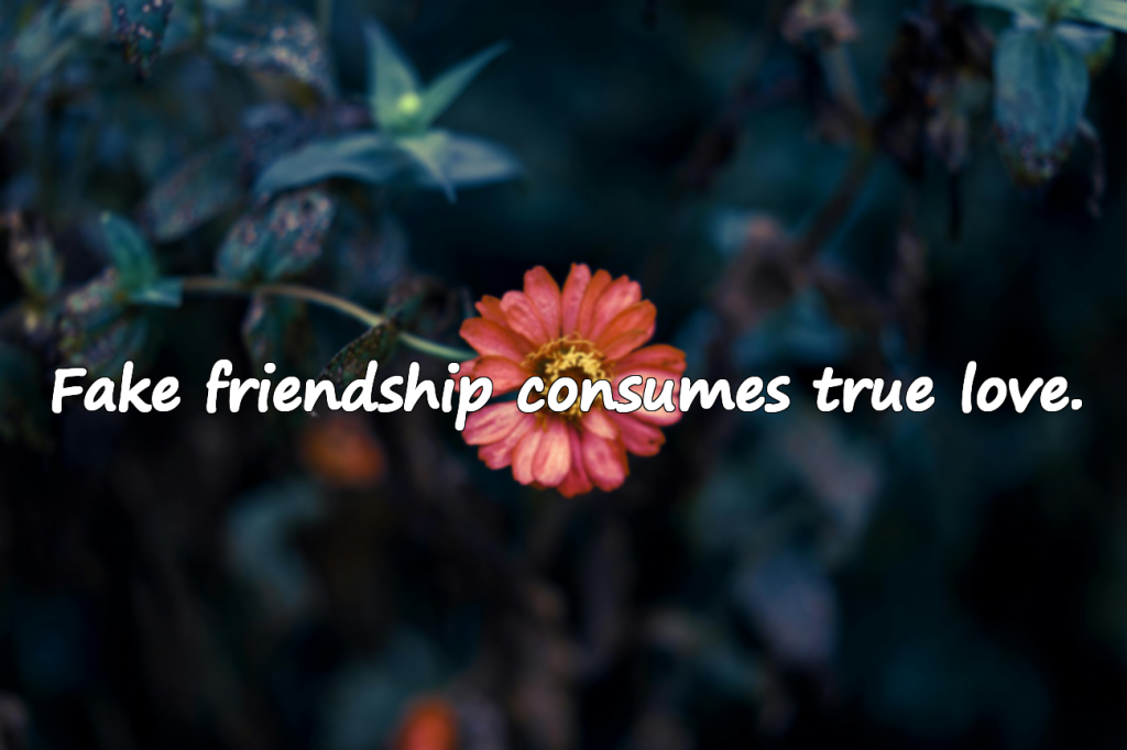 Quotes About Fake-ness