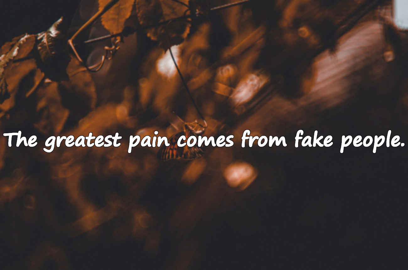 Quotes About Fake People