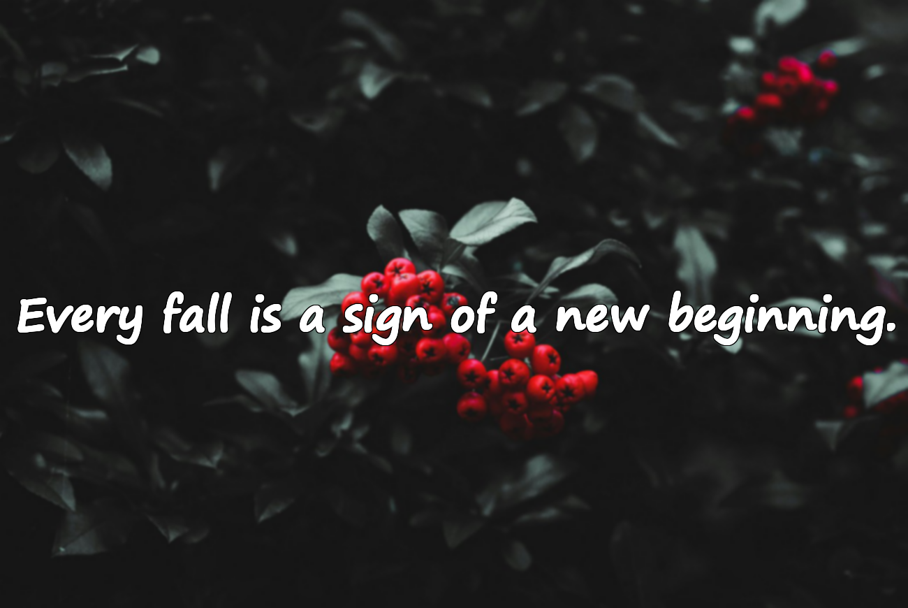 Quotes About Falling