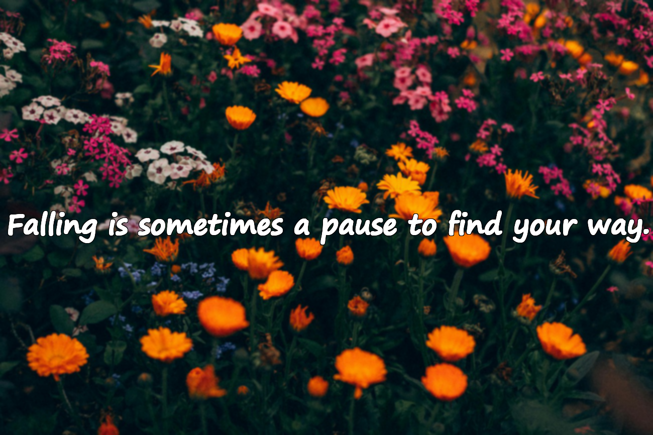 Quotes About Falling