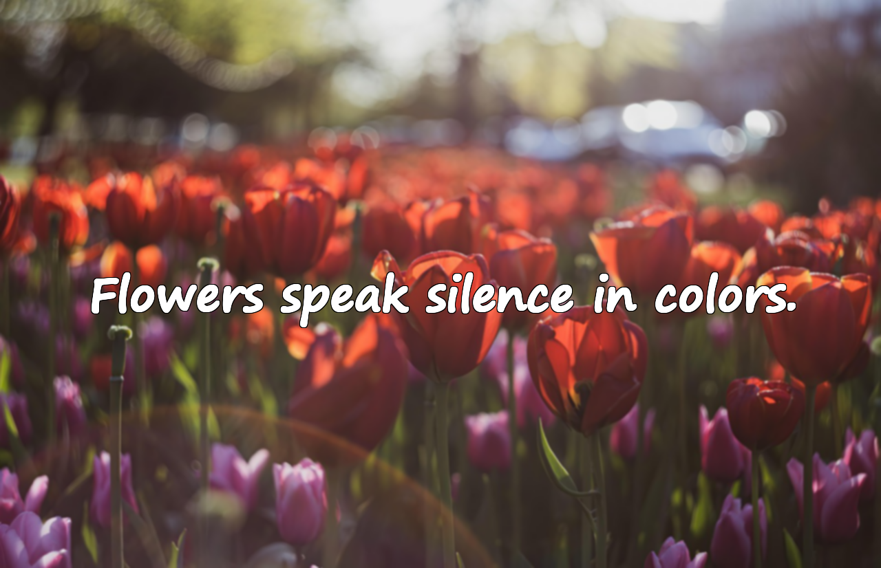 Quotes About Flowers