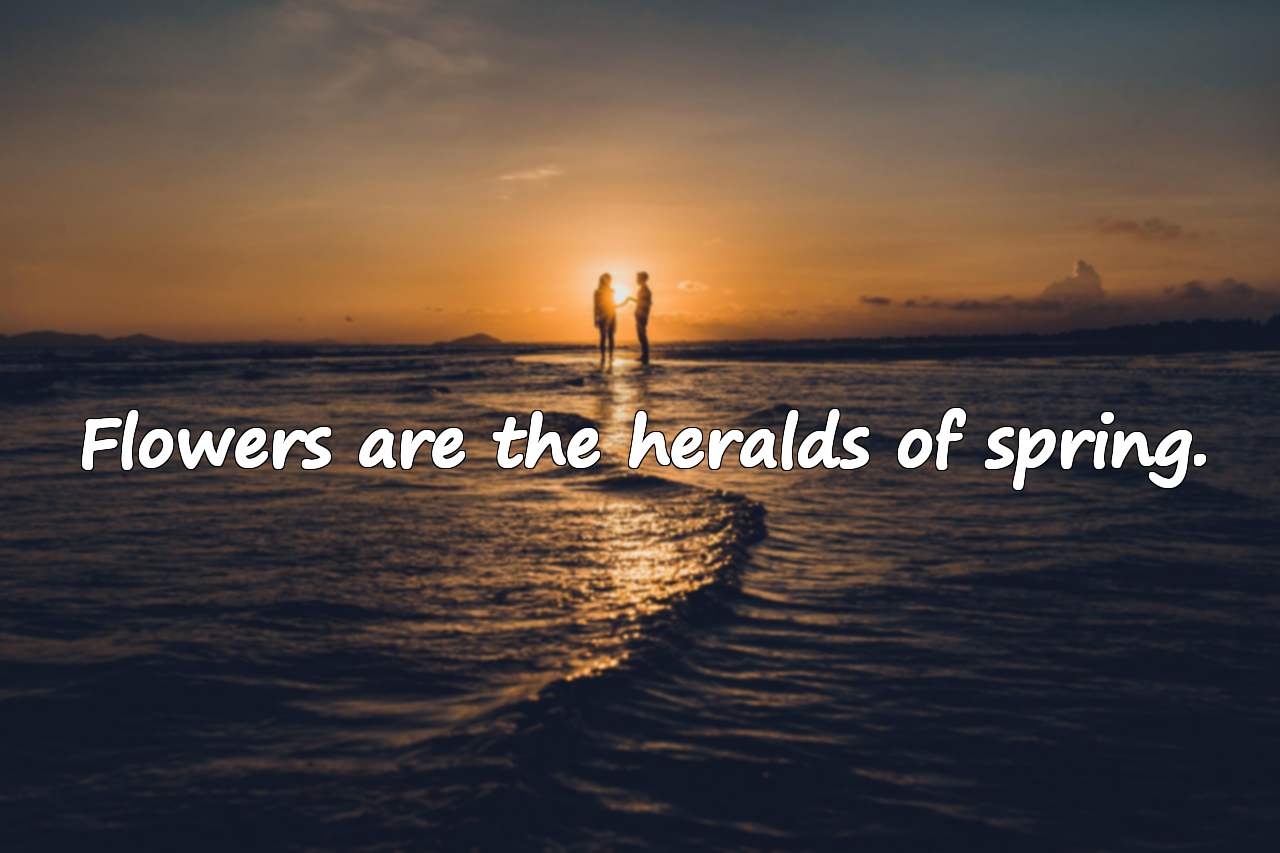Quotes About Flowers