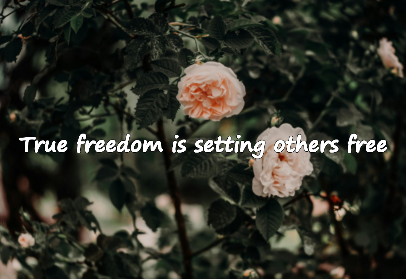 Quotes About Freedom