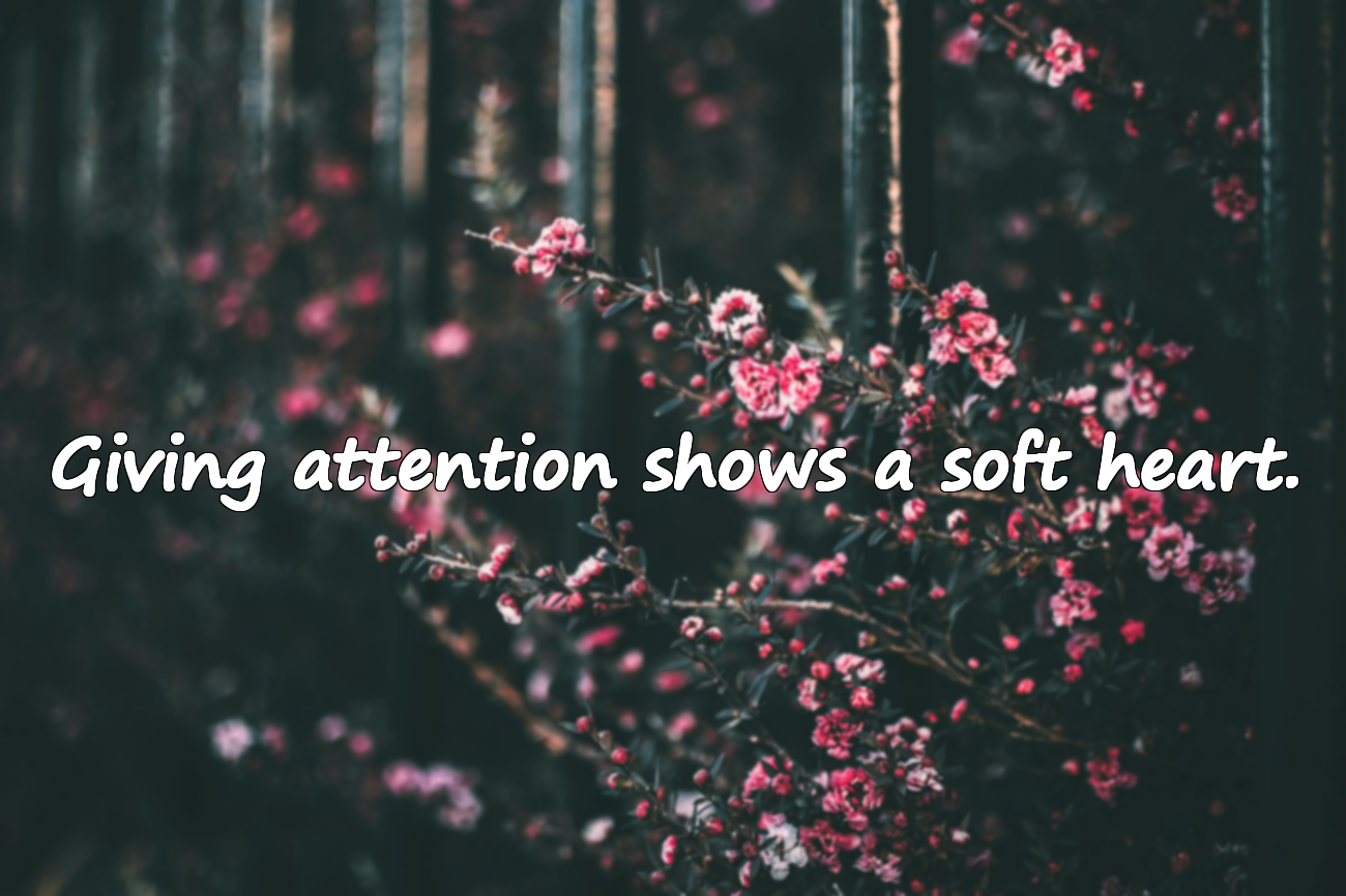 Quotes About Giving Attention