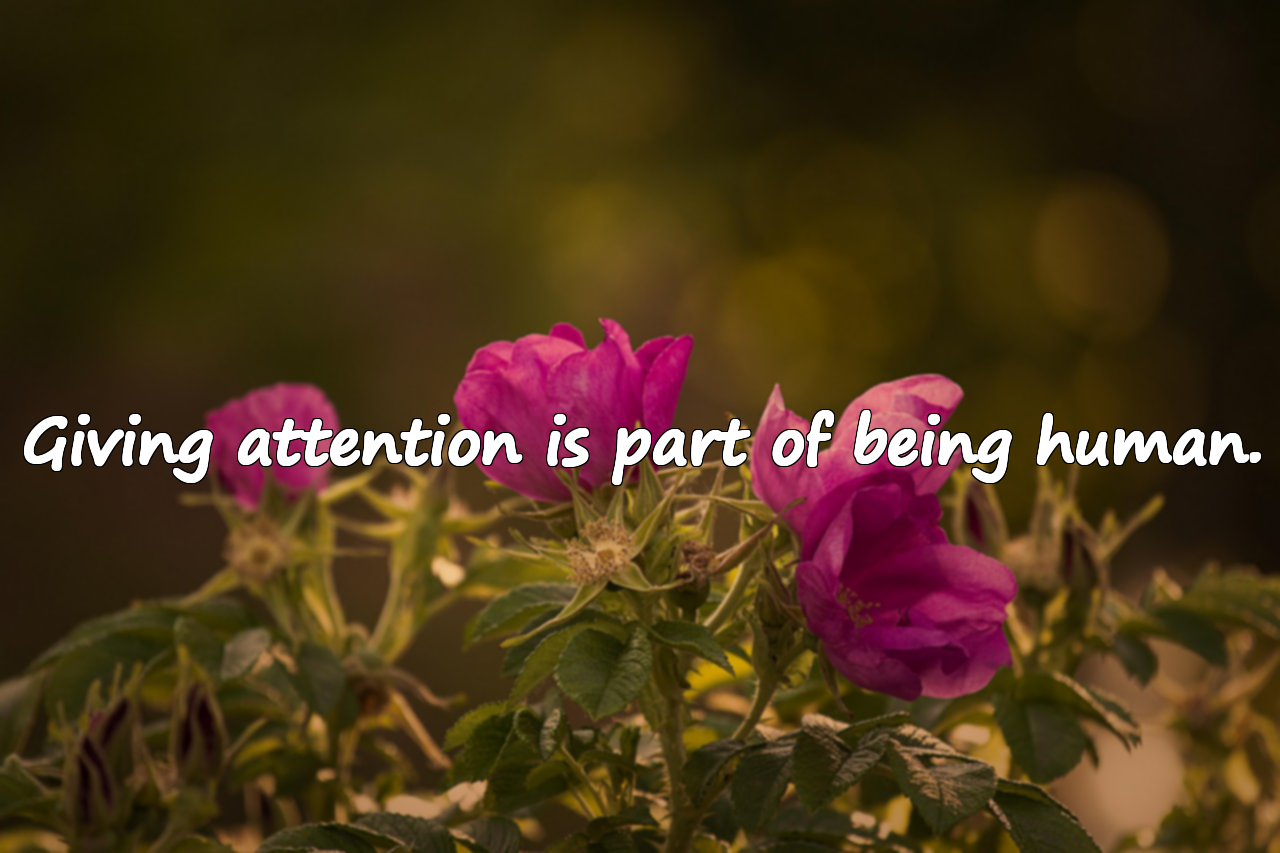 Quotes About Giving Attention