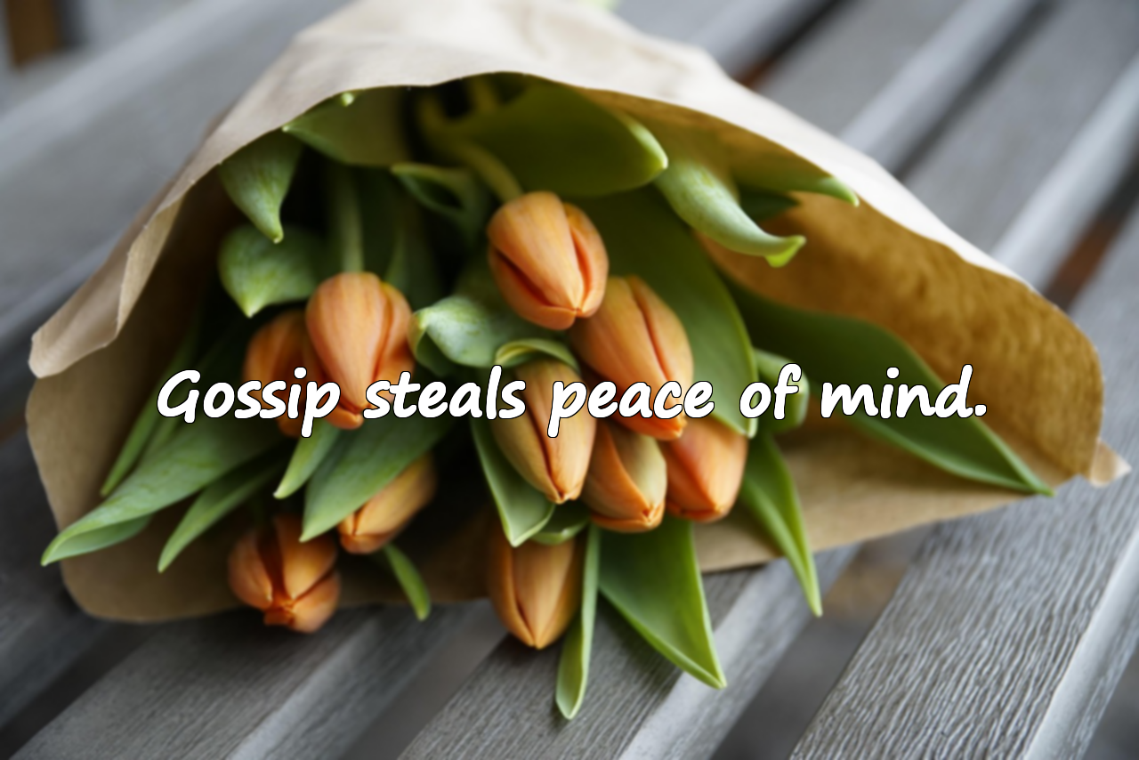 Quotes About Gossip