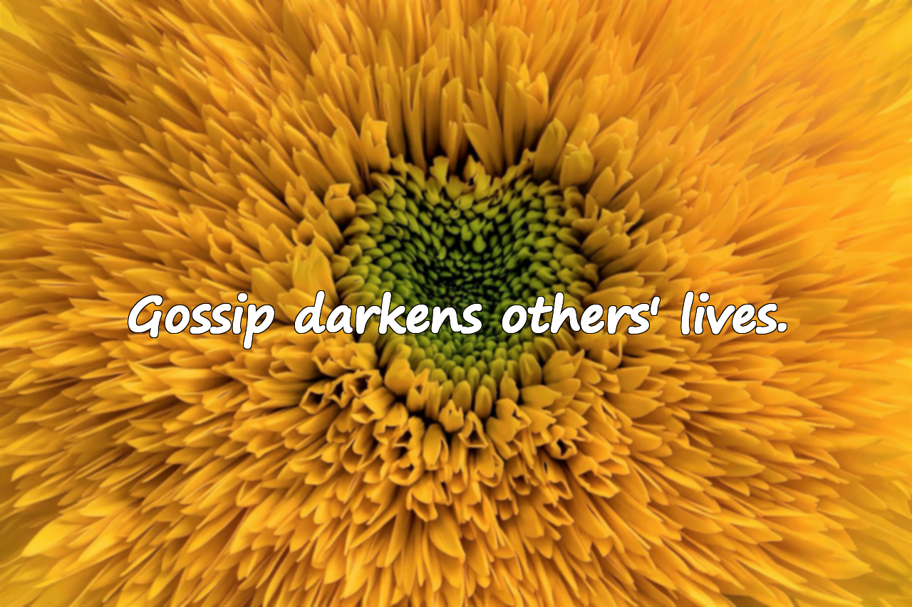 Quotes About Gossip