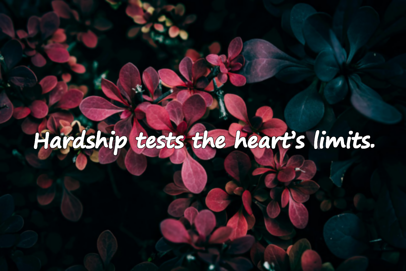 Quotes About Hardship