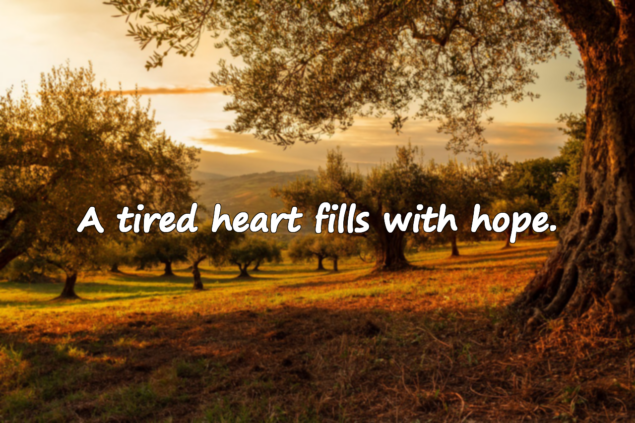 Quotes About Heart Fatigue