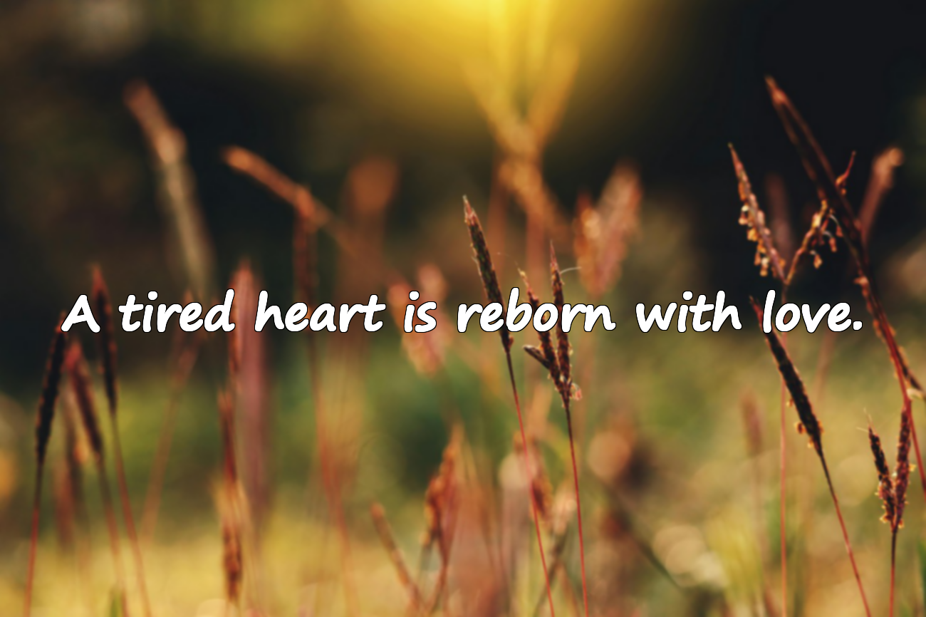 Quotes About Heart Fatigue