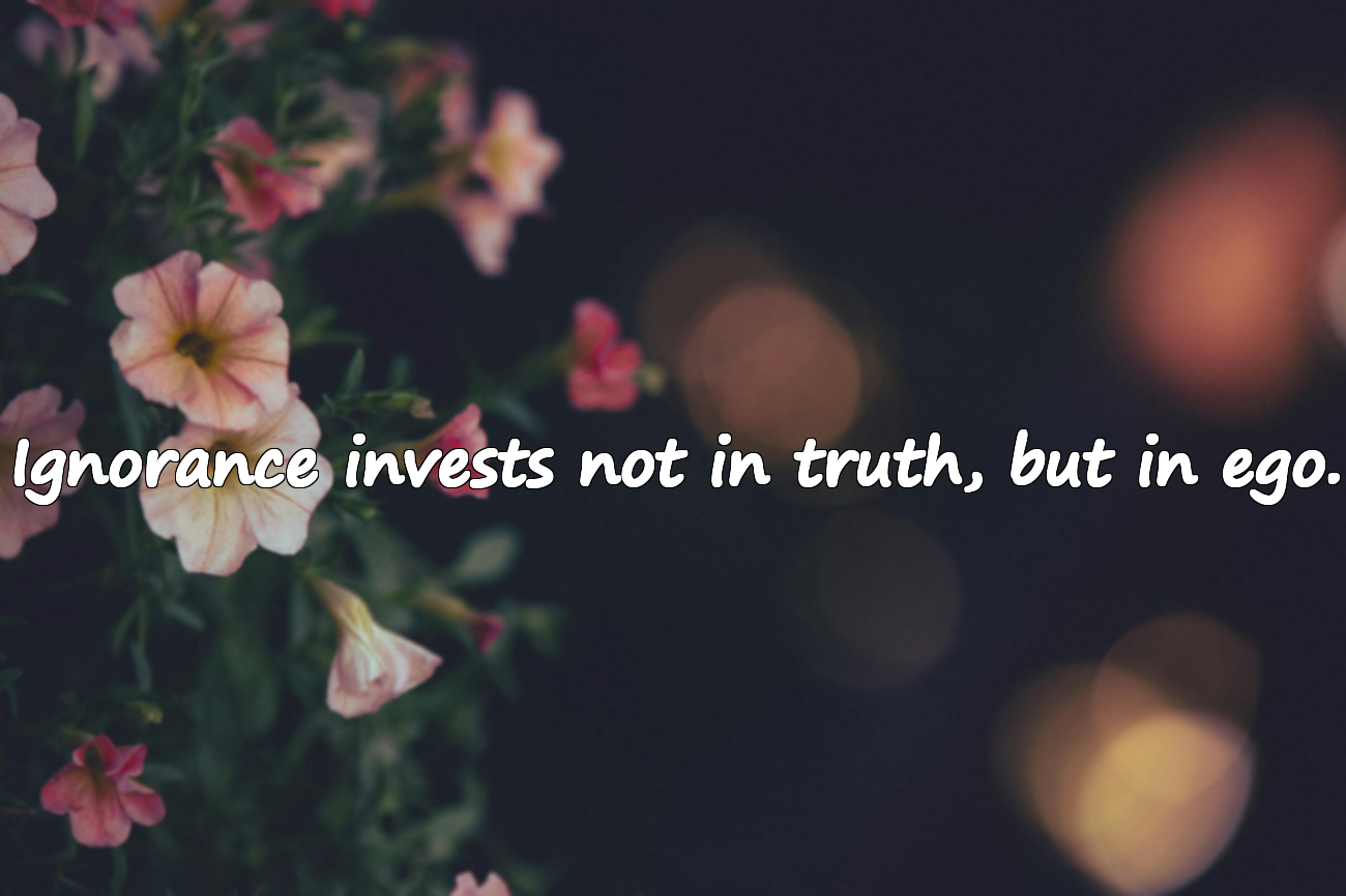 Quotes About Ignorance
