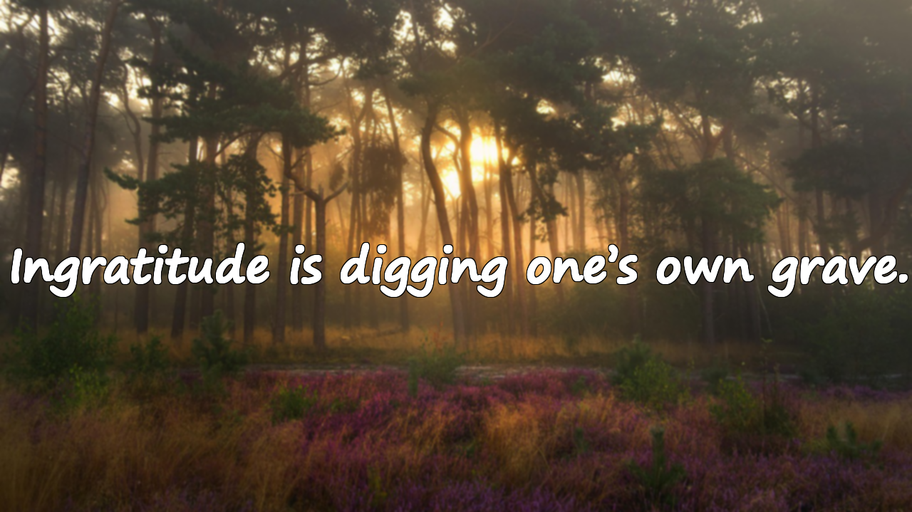 Quotes About Ingratitude