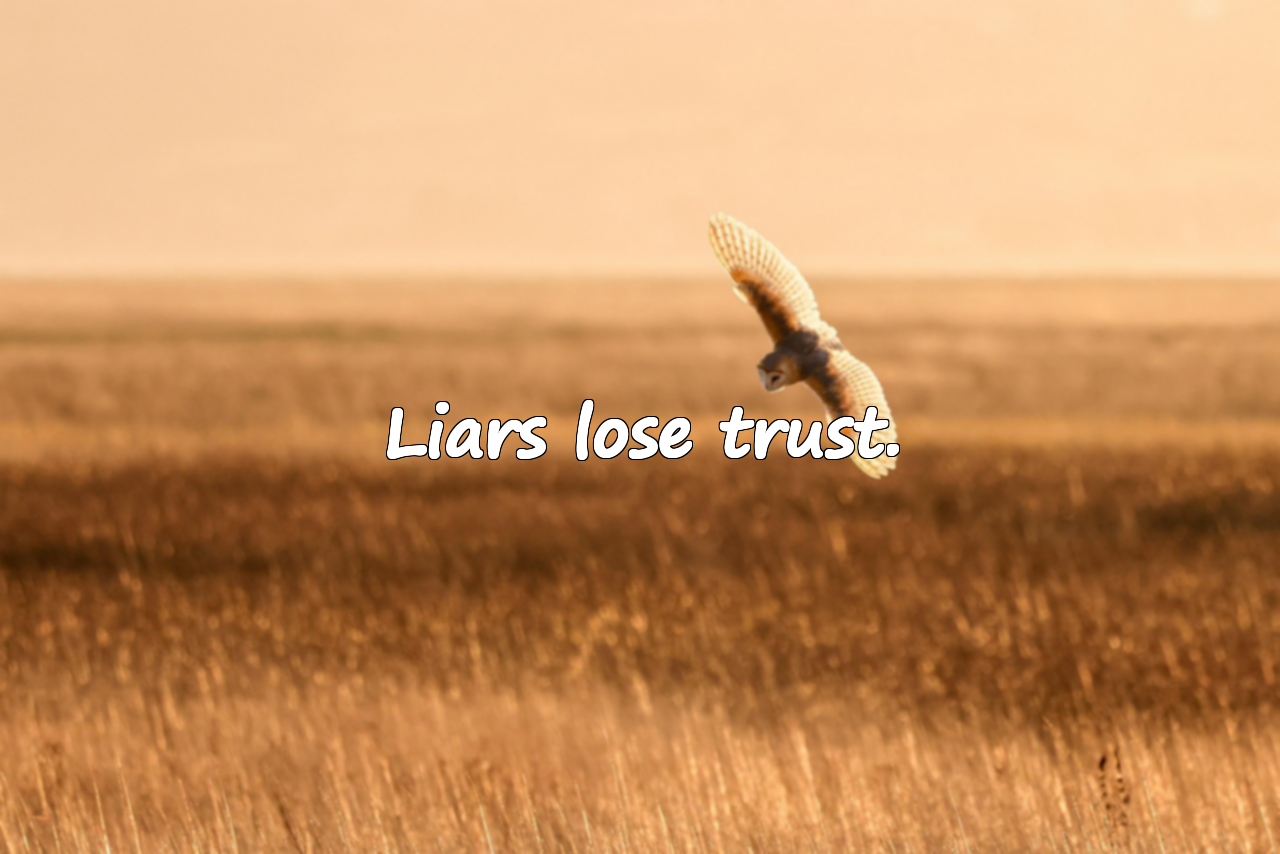 Quotes About Lies