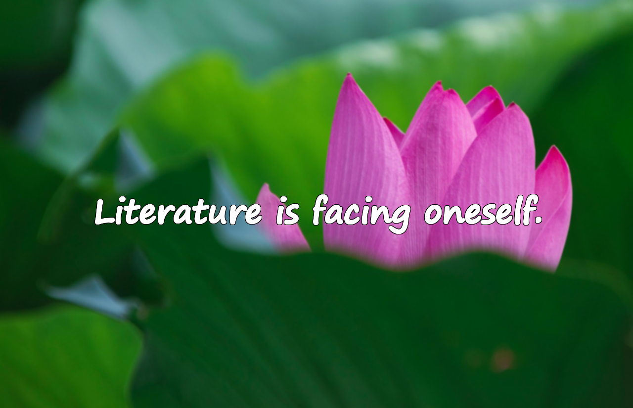 Quotes About Literature