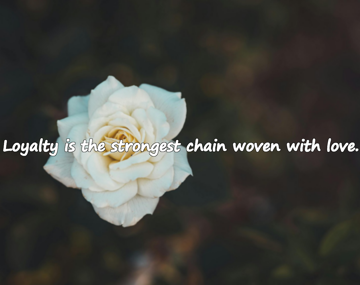 Quotes About Loyalty