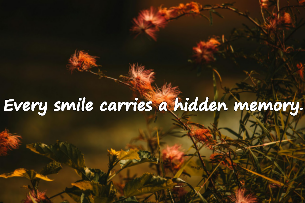 Quotes About Memories