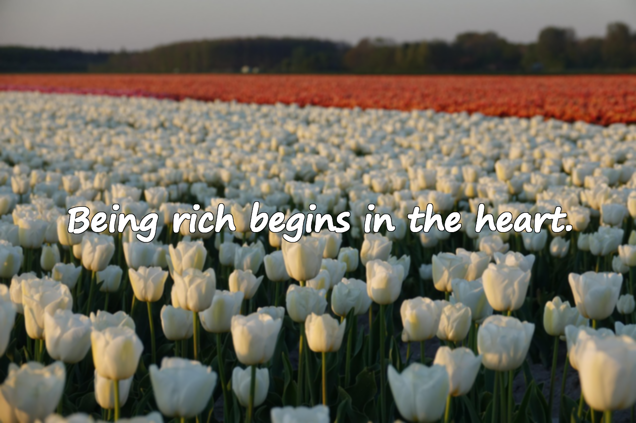 Quotes About Money