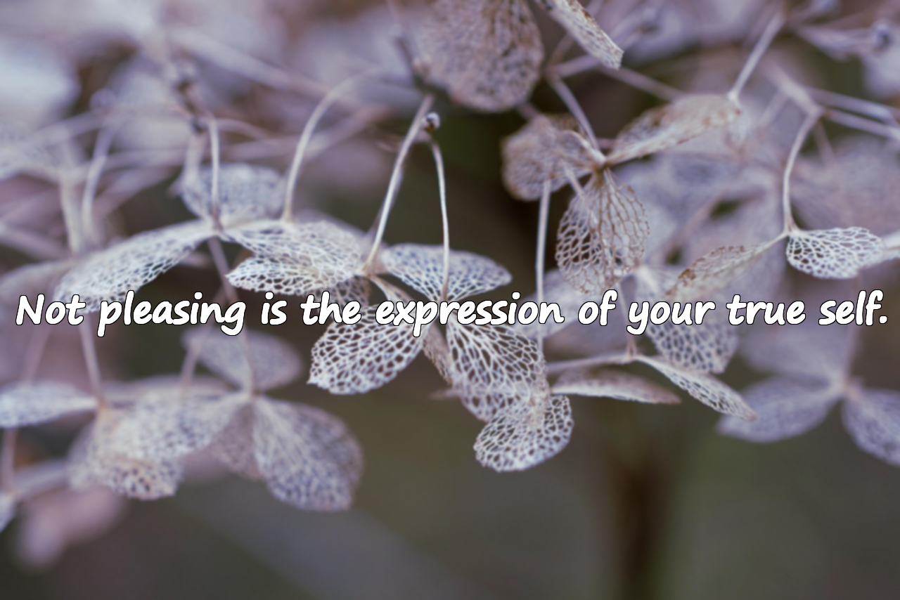 Quotes About Not Being Able to Please