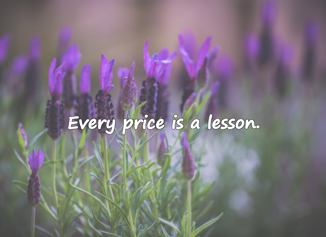 Quotes About Paying the Price
