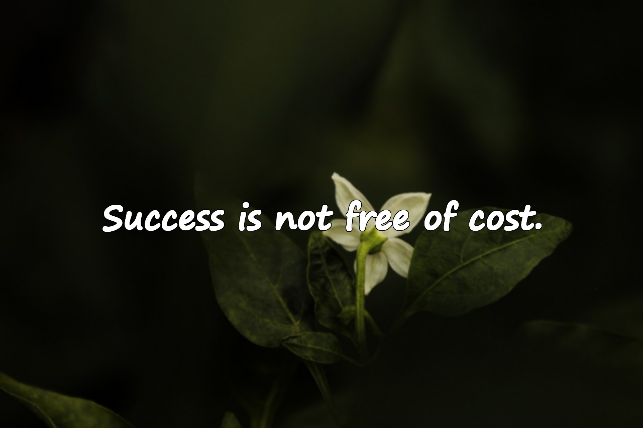 Quotes About Paying the Price