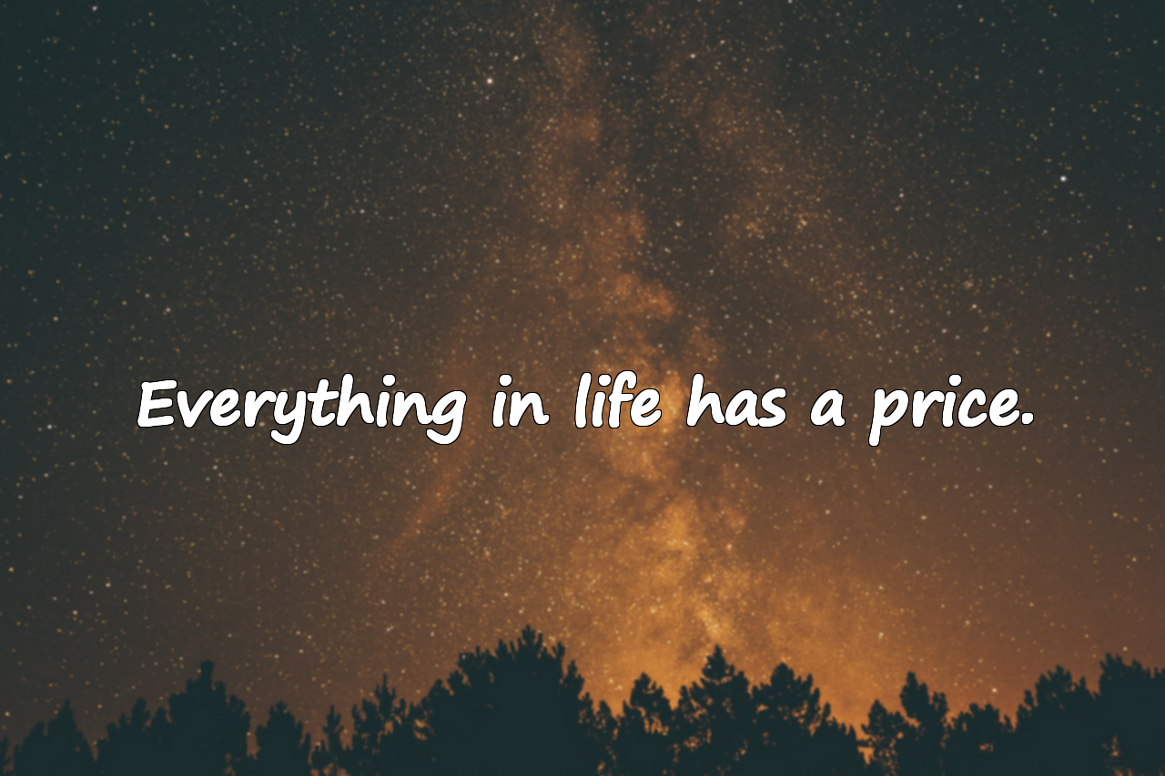 Quotes About Paying the Price