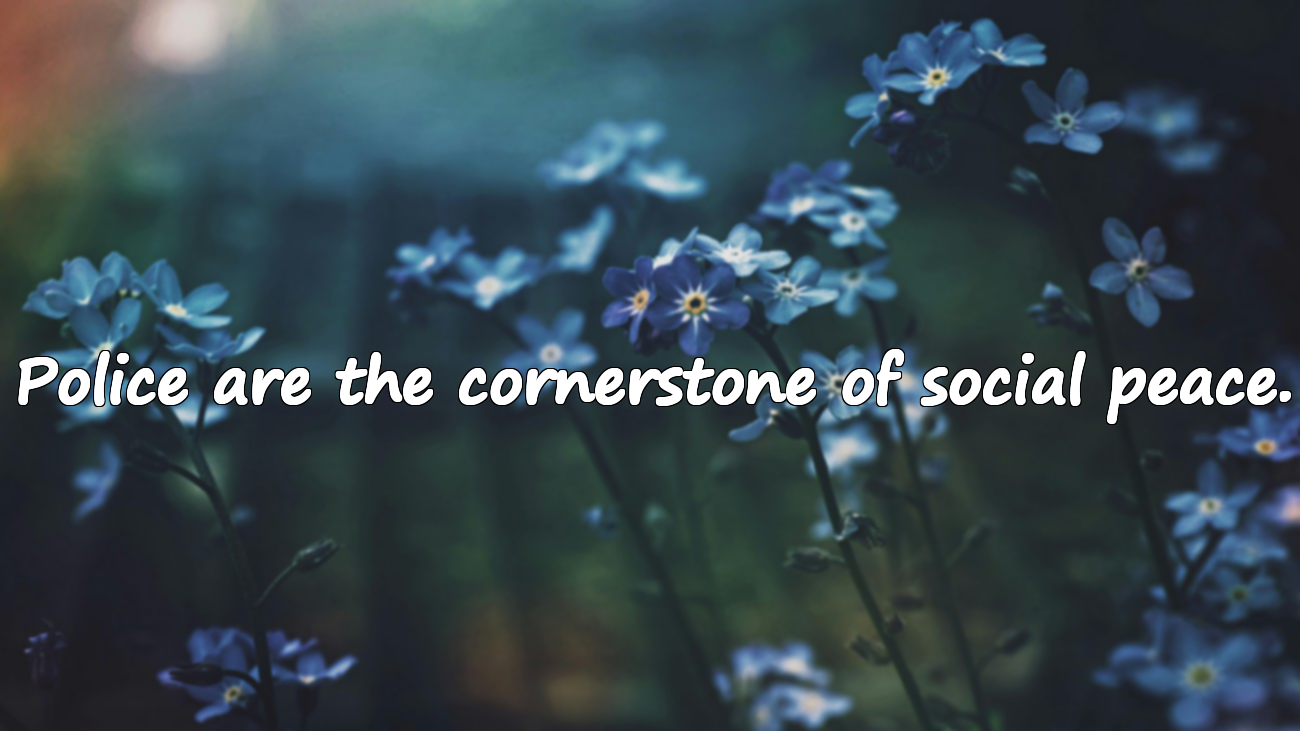 Quotes About Police