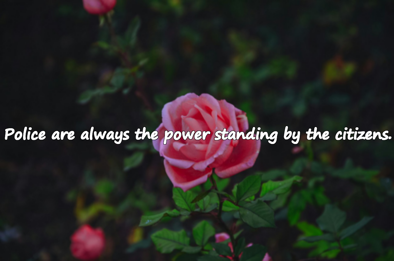 Quotes About Police