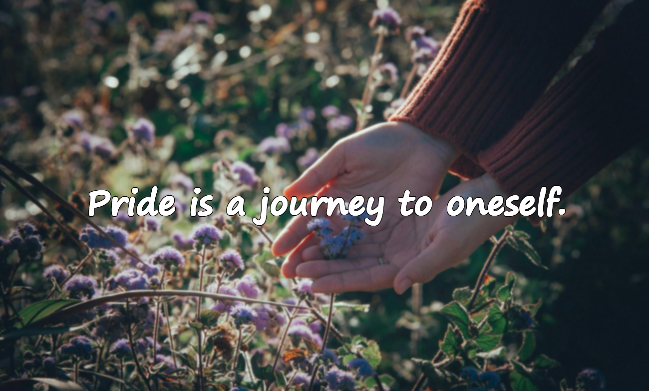 Quotes About Pride
