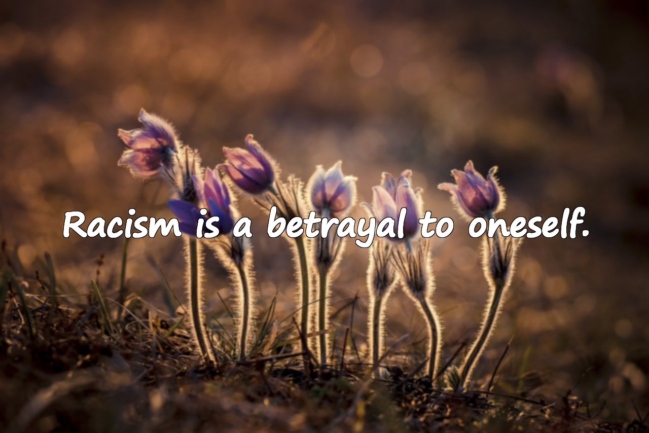 Quotes About Racism