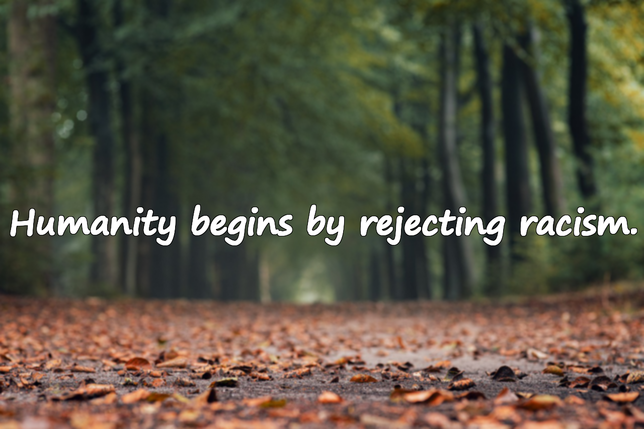 Quotes About Racism