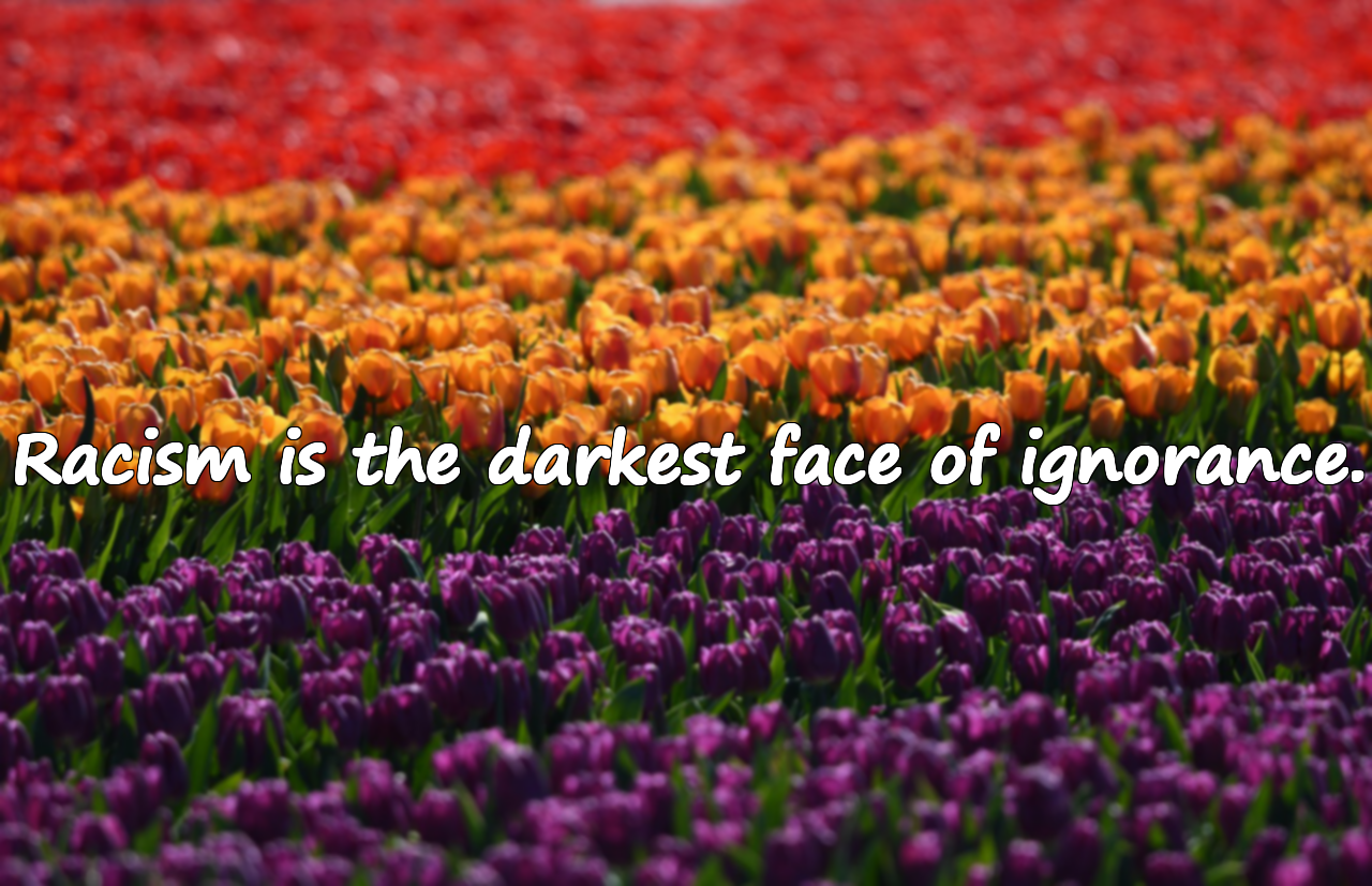 Quotes About Racism