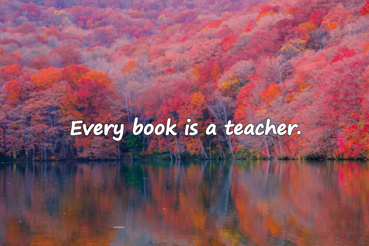 Quotes About Reading Books